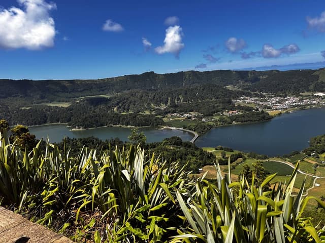 Photo 3 by John C. (8/29/24)