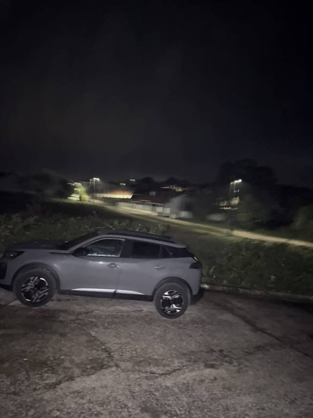 Photo by luisa L. (10/31/25)