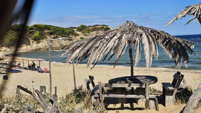 Photo 2 by Veselin P. (10/6/25)