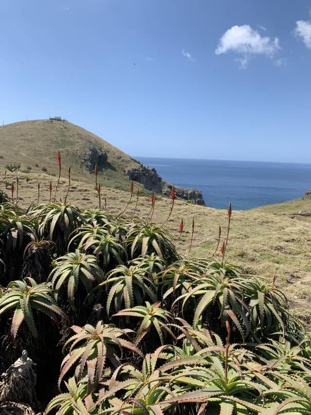 Photo 2 by Andrzej S. (5/5/25)