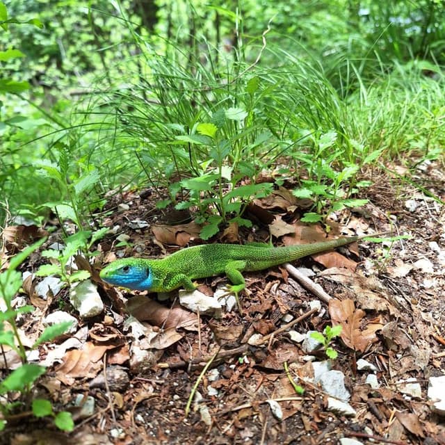 Foto 2 van Jonathan F. (14-6-23)