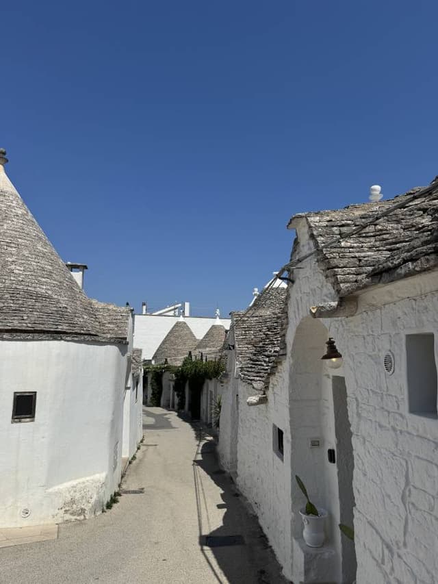 Photo 2 by Melsi V. (9/3/24)