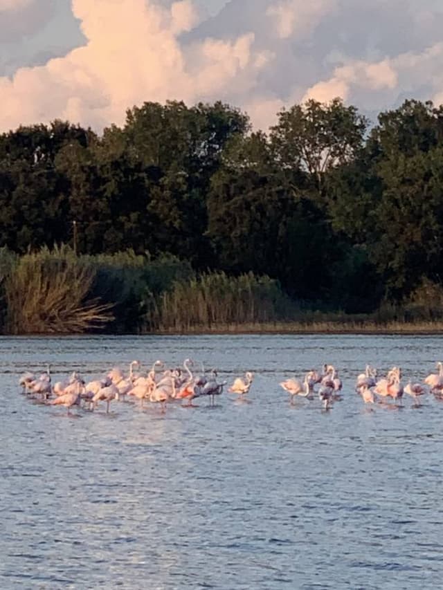 Photo 1 by Peter B. about hiring a Volkswagen Polo in Greece (26/09/24)