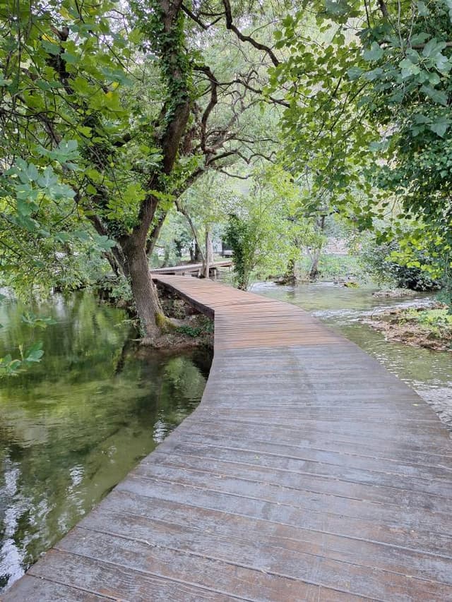 Foto 1 von Gasser M. (17.10.24)