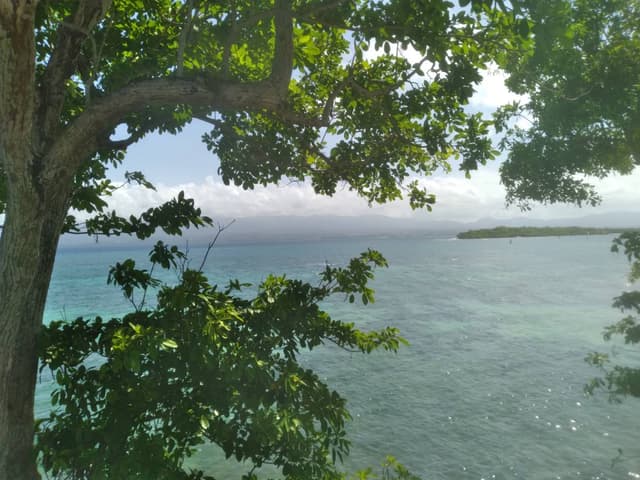 Photo 2 by Gordon S. (5/25/25)