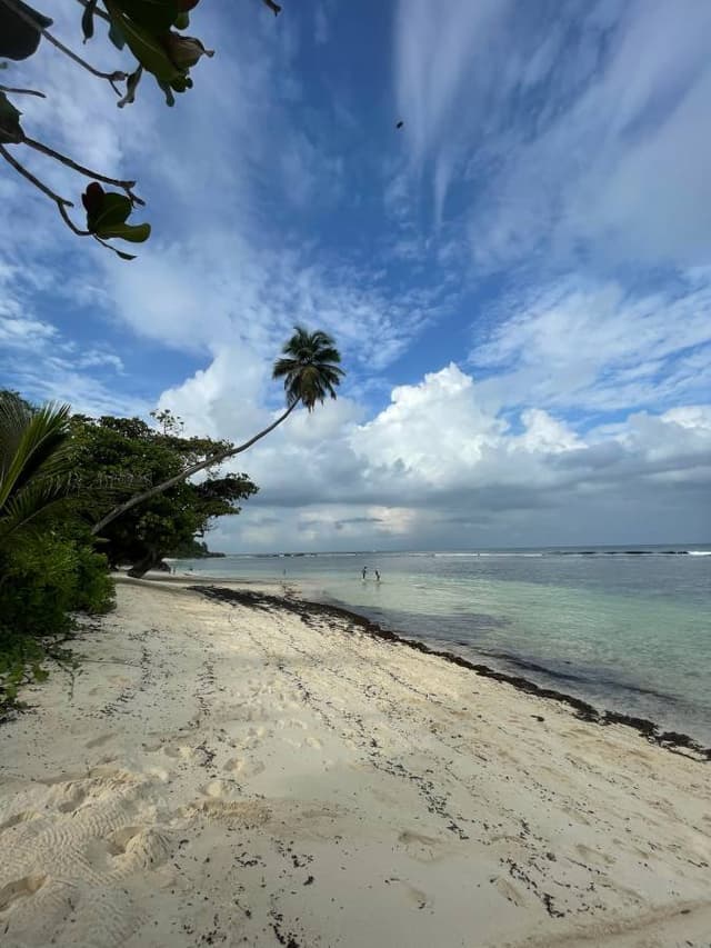 Photo 2 by Lee-Anne H. about renting a Suzuki Ertiga in the Seychelles (1/8/25)
