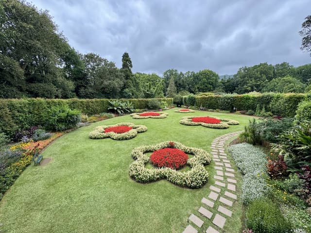 Photo 1 by Richard E. (9/24/25)