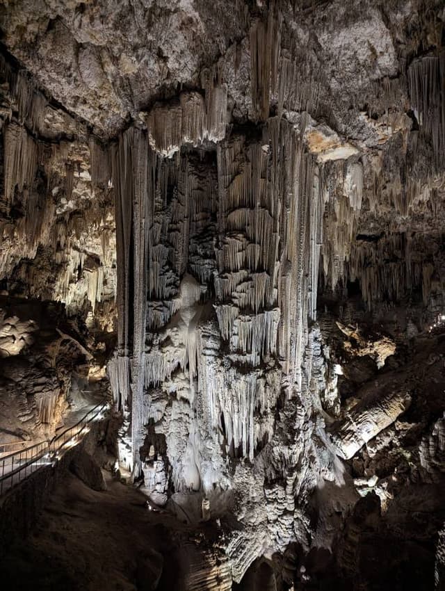 Photo by Raine M. (12/28/23)