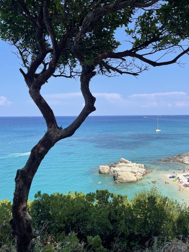 Photo by Zsolt A. (8/4/23)