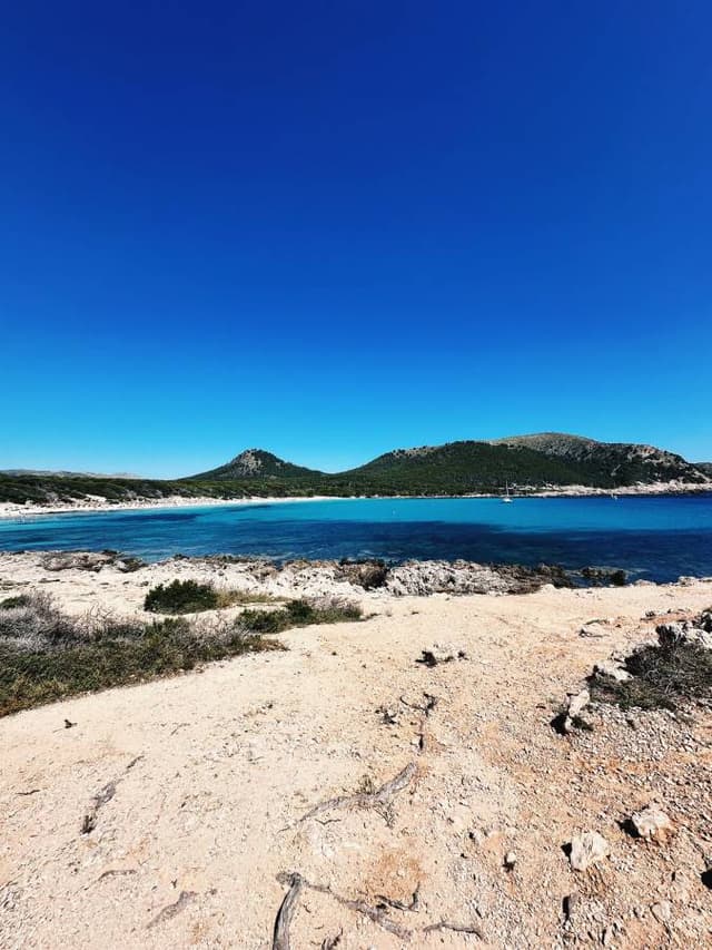 Photo 3 by Pawel K. (6/7/24)