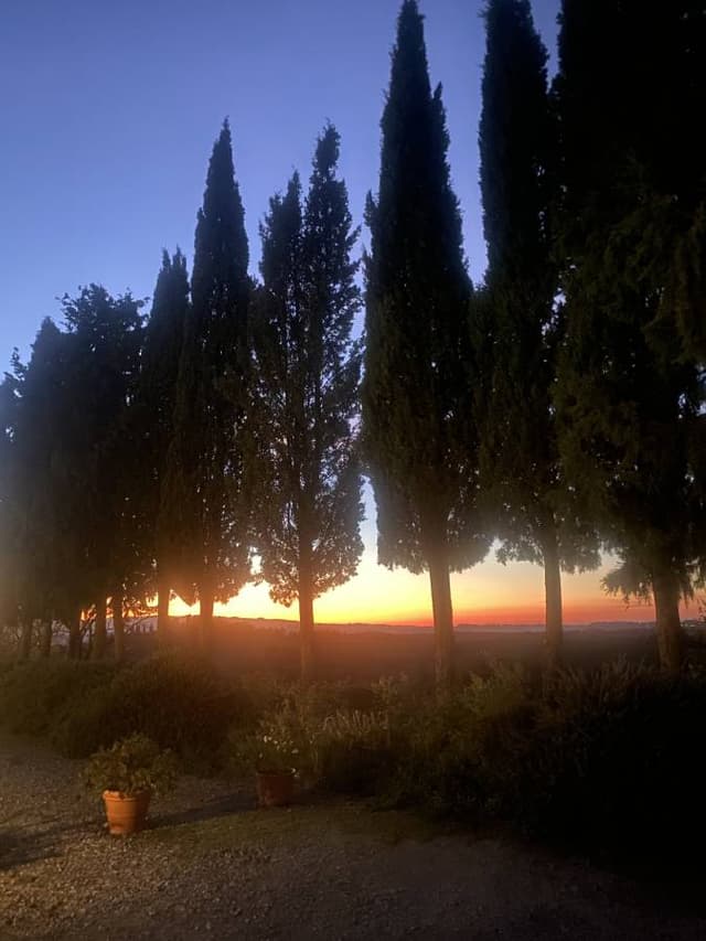 Photo 3 by Martin H. about hiring a Opel Corsa at Pisa Airport (20/10/25)