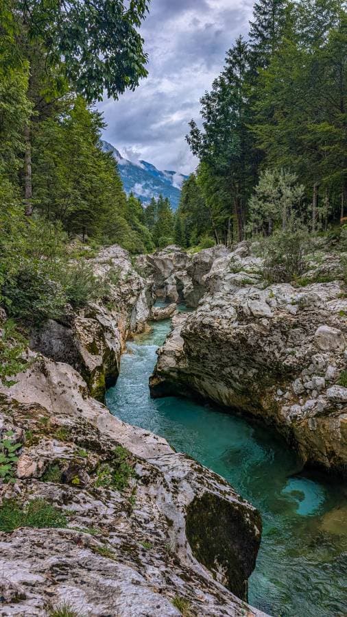 Photo 4 by Dean M. (7/26/24)