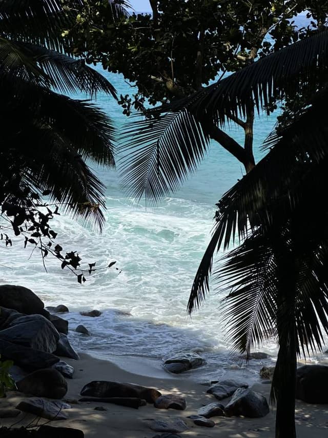 Photo 3 by Lee-Anne H. about renting a Suzuki Ertiga in the Seychelles (1/8/25)