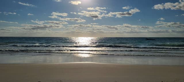 Photo 4 by Matthew S. (1/11/24)