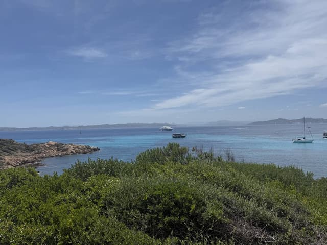 Photo 5 by Anna K. (5/30/25)