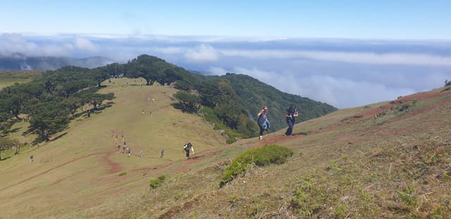 Photo 2 by Dirk M. about hiring a Volkswagen T-Roc in Funchal (17/05/24)