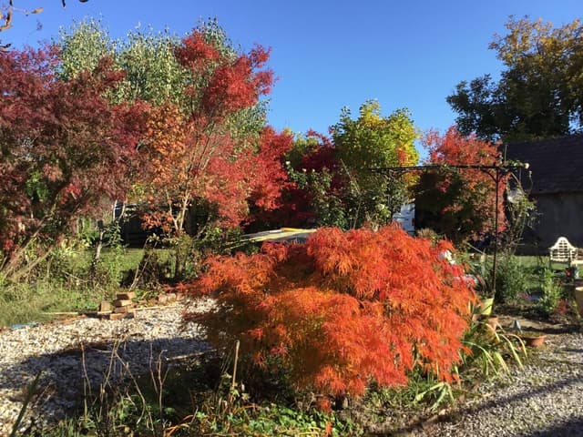 Photo 3 by PATRICIA I. (11/17/23)