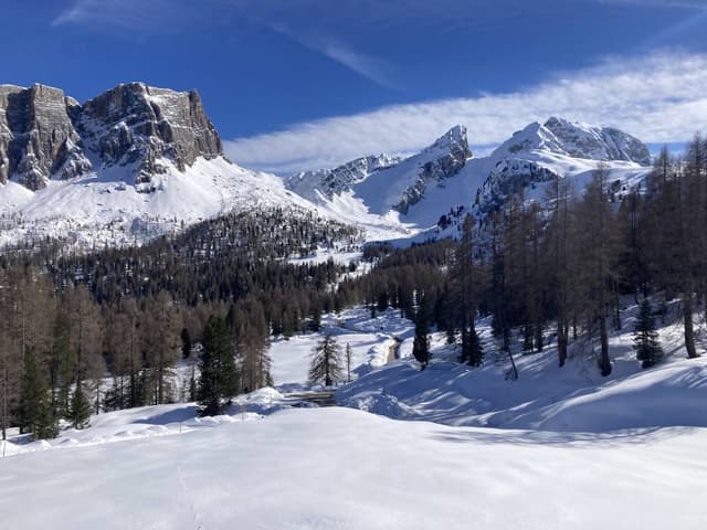 Photo 3 by Tim O. about hiring a Fiat Tipo STW in Venice (01/04/24)