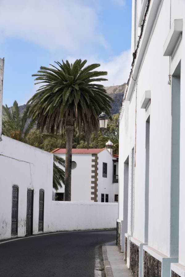 Photo 5 by Nigel D. (2/15/25)