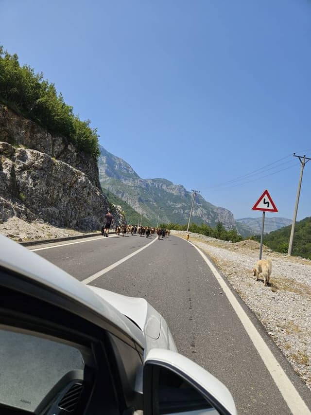 Photo 2 par Ariane G. (26/06/25)