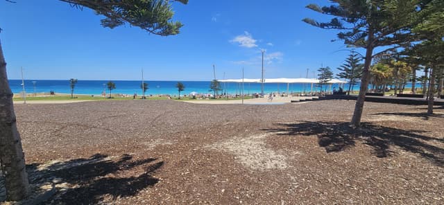 Photo 3 by Jordan L. (1/3/26)