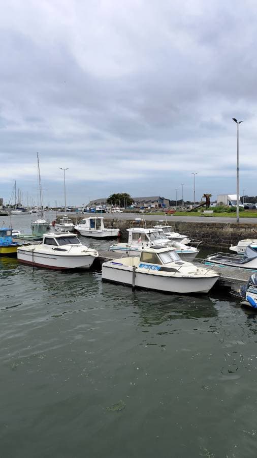 Photo 2 by Reka S. (4/24/24)