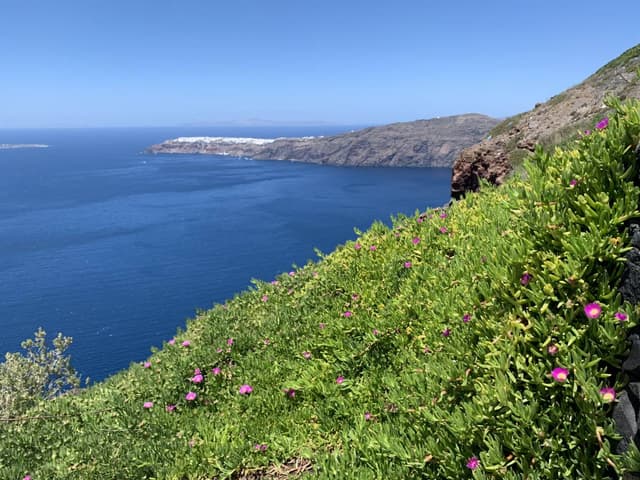 Photo 4 by Dan O. (5/17/24)