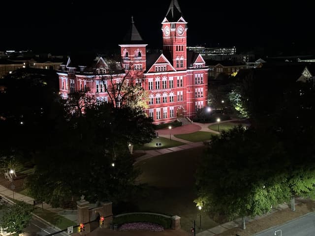 Photo by alicia B. (10/14/24)