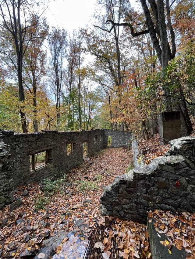 Photo 2 by Tara W. (10/31/23)