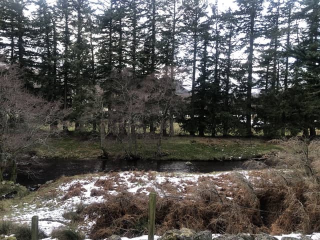 Photo 2 by dyett M. about renting a Ford Focus in Glasgow (1/3/23)