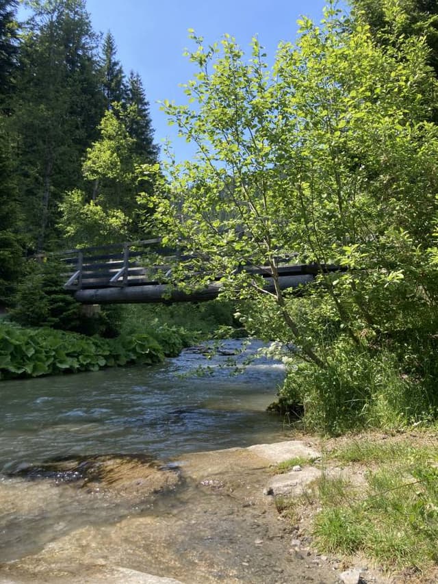 Photo 2 by Ester K. (6/16/23)