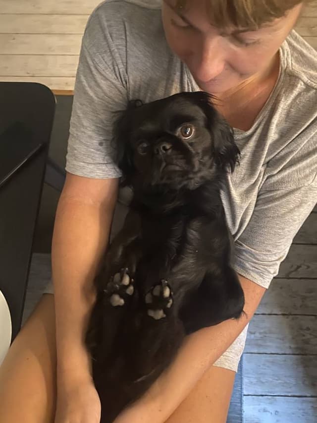 Photo 3 by Ramo C. about renting a Nissan Micra in Zagreb (11/6/24)