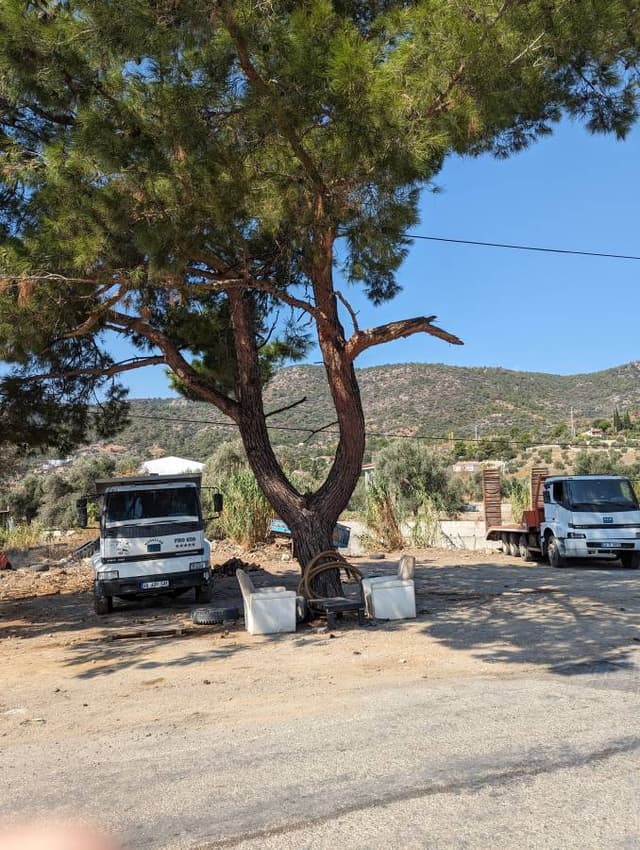 Photo by Jethro P. about renting a Renault Symbol in Antalya (10/21/23)