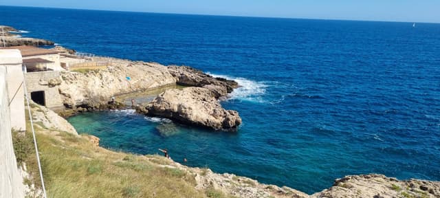 Photo 3 by Alexander G. (6/25/24)