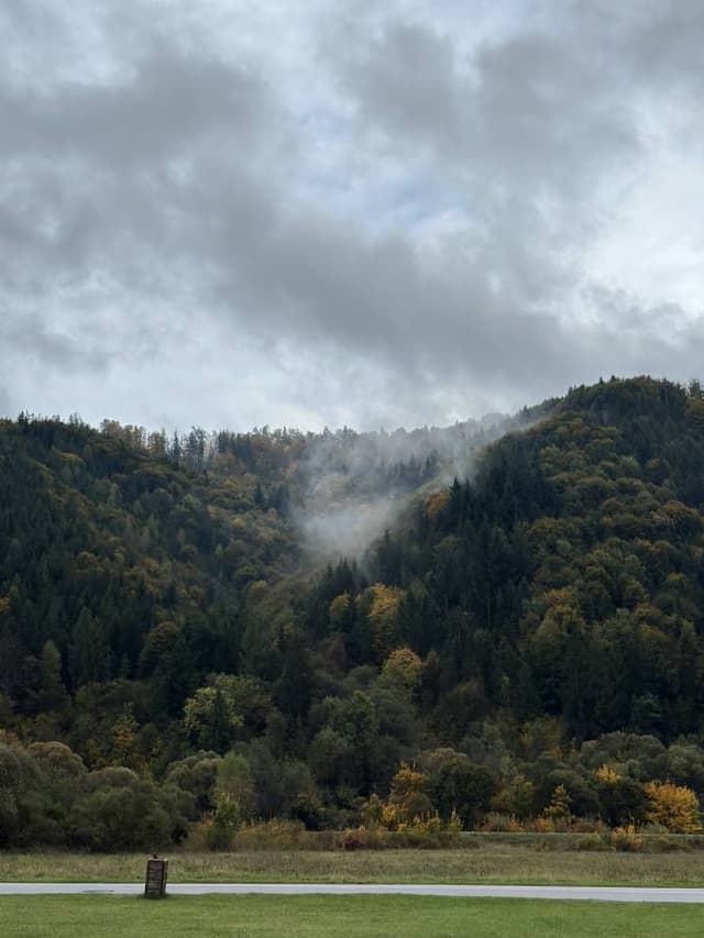 Photo 5 by Mohammed A. (10/17/24)