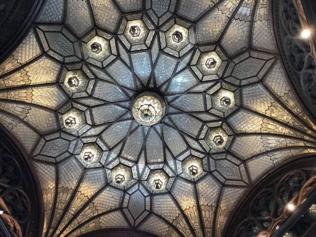 Photo 5 by PATRICIA I. (11/17/23)