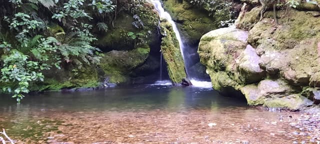 Photo 6 by Michael D. (2/5/26)