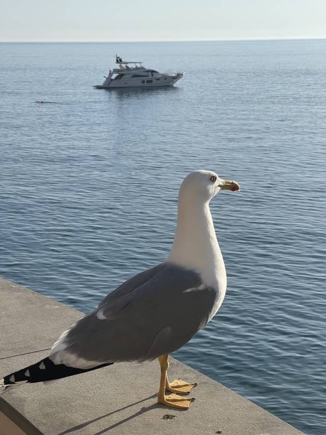 Foto 3 di ornella B. (15/04/24)