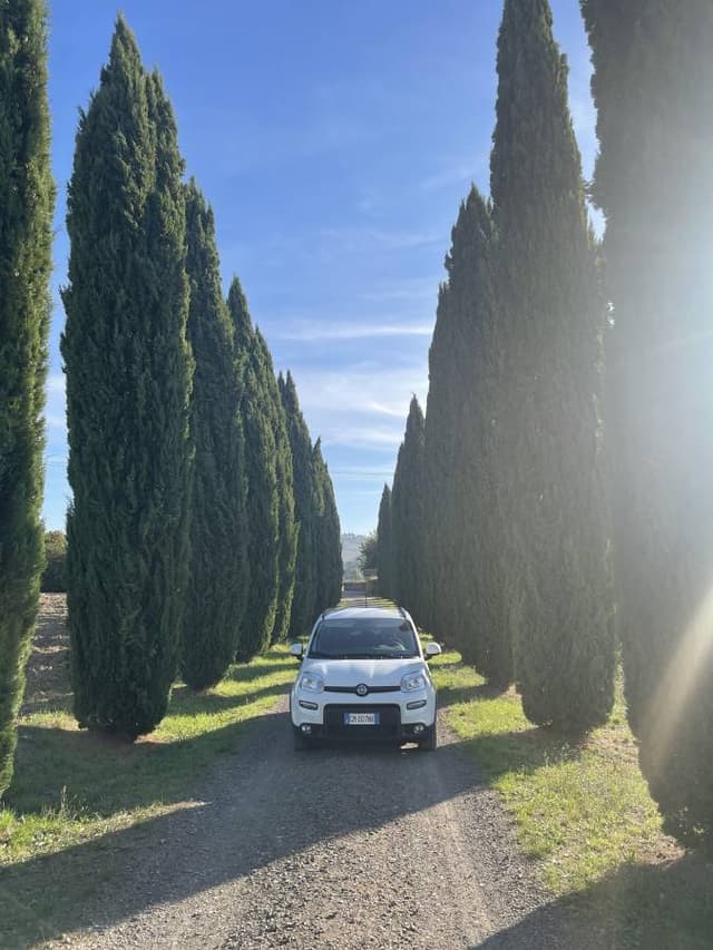 Photo by Monta I. about renting a Fiat 500 in Pisa (10/16/23)