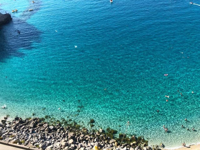 Photo 1 by Giuseppina L. (7/20/24)