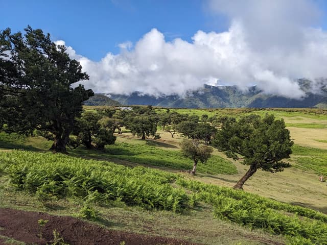 Photo 1 by Srdjan J. (6/9/24)