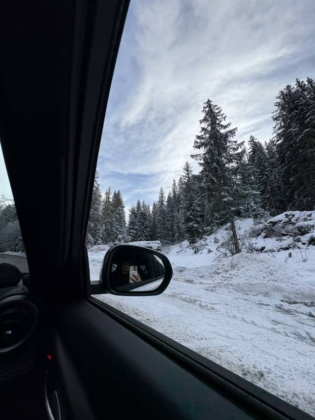 Photo 2 by Mitchell B. (1/30/25)