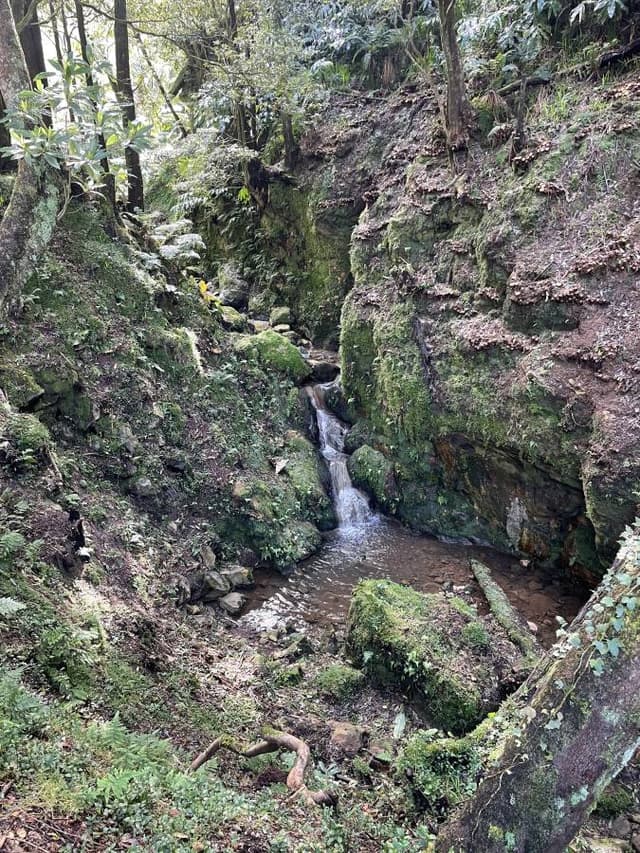 Photo 4 by Mitchell M. (3/6/25)