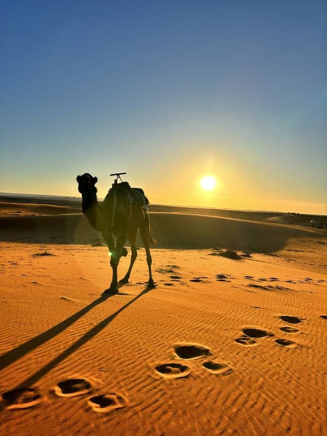 Photo 1 par Nazih F. (21/03/23)