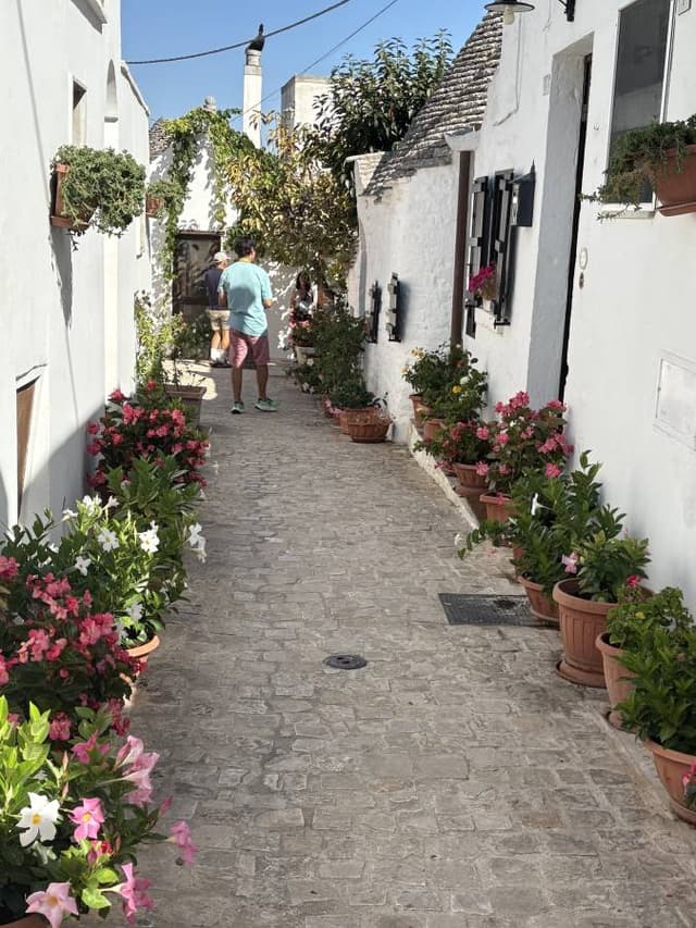 Photo 1 by Edward B. about hiring a Fiat 500 at Bari Airport (18/09/25)