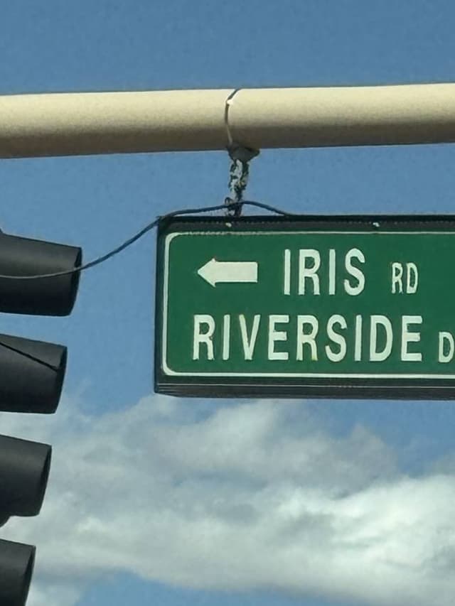 Photo by Gregory Z. (3/14/25)