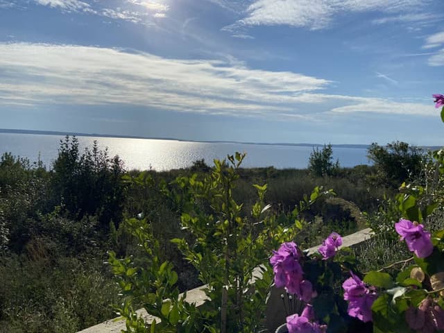 Photo 5 by Ramo C. about renting a Nissan Micra in Zagreb (11/6/24)