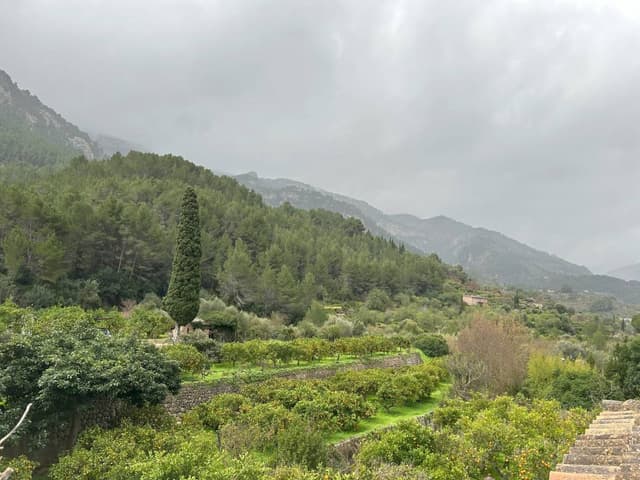 Photo 3 by Adrian K. (2/15/25)