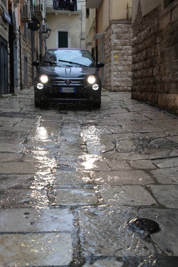 Photo 2 by Botond K. (2/26/24)