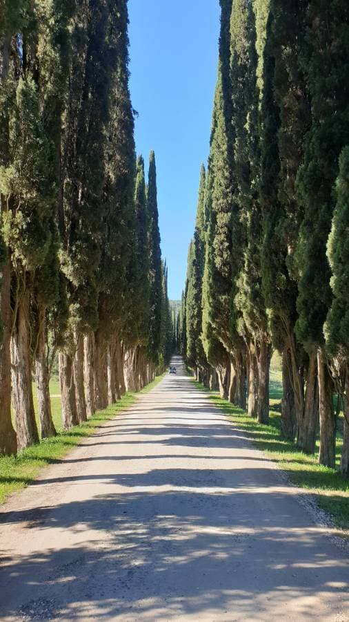 Photo by Zsolt L. (10/12/22)